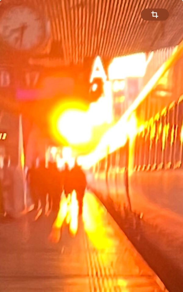Lyrik im Gespräch
